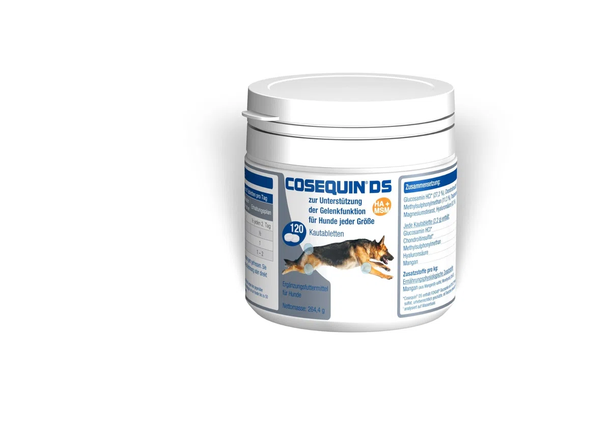 Ecuphar Cosequin DS HA+MSM 120 Comprimidos masticables para perros