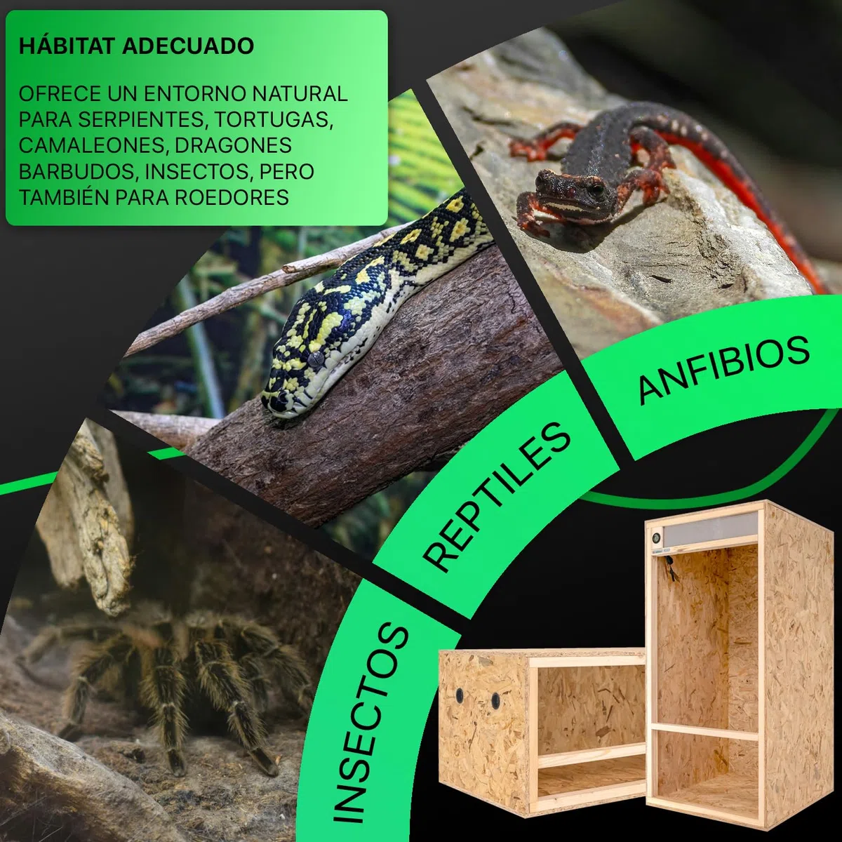 ITA Terrario para Camaleón 120x60x60 cm con ventilación de superficie e higrómetro integrado - Terrario de madera de OSB-3 placas - Terrarios para camaleones y otras especies animales - Producto de la