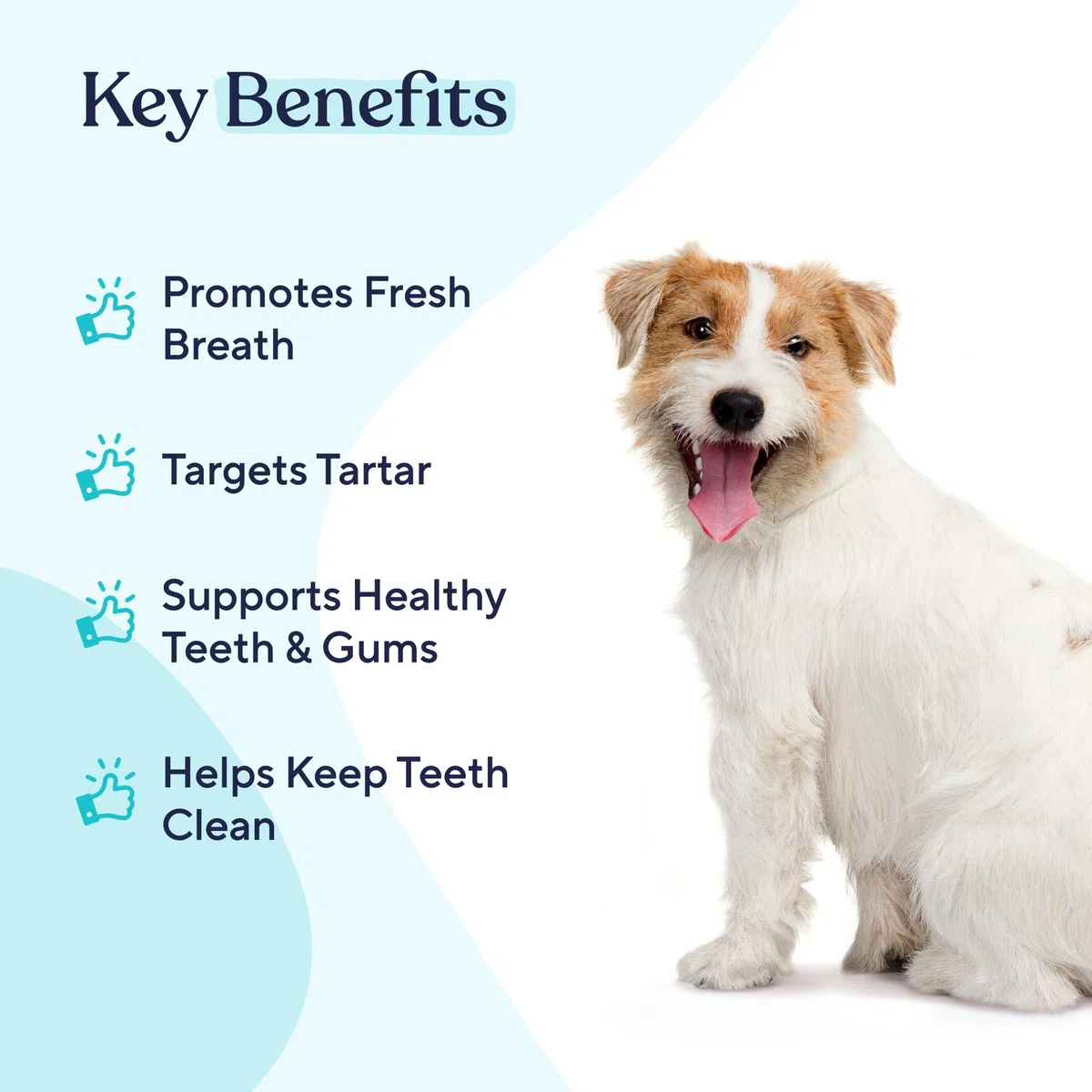 Pawfy Lavado dental