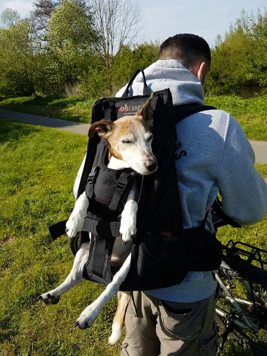 Dog Carrier Mochila para perros de alta calidad como bolsa de transporte para perros de 8 a 16 kg
