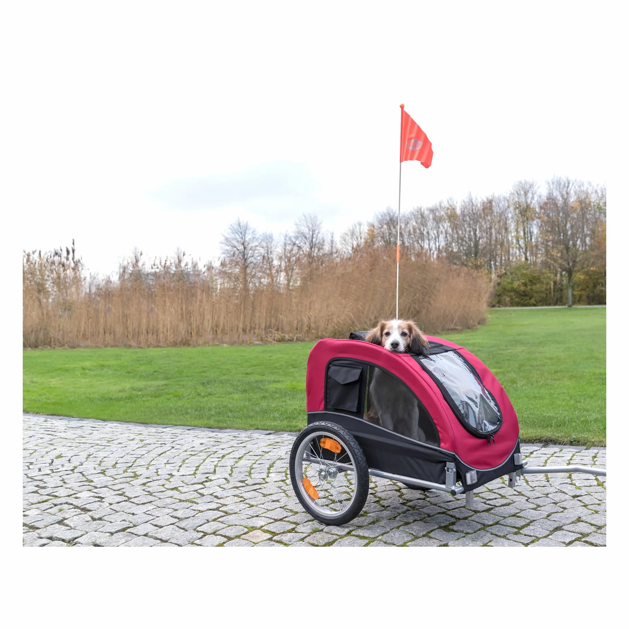 Tráiler Bicicleta, M, 43×45×73 cm, Rojo/Negro