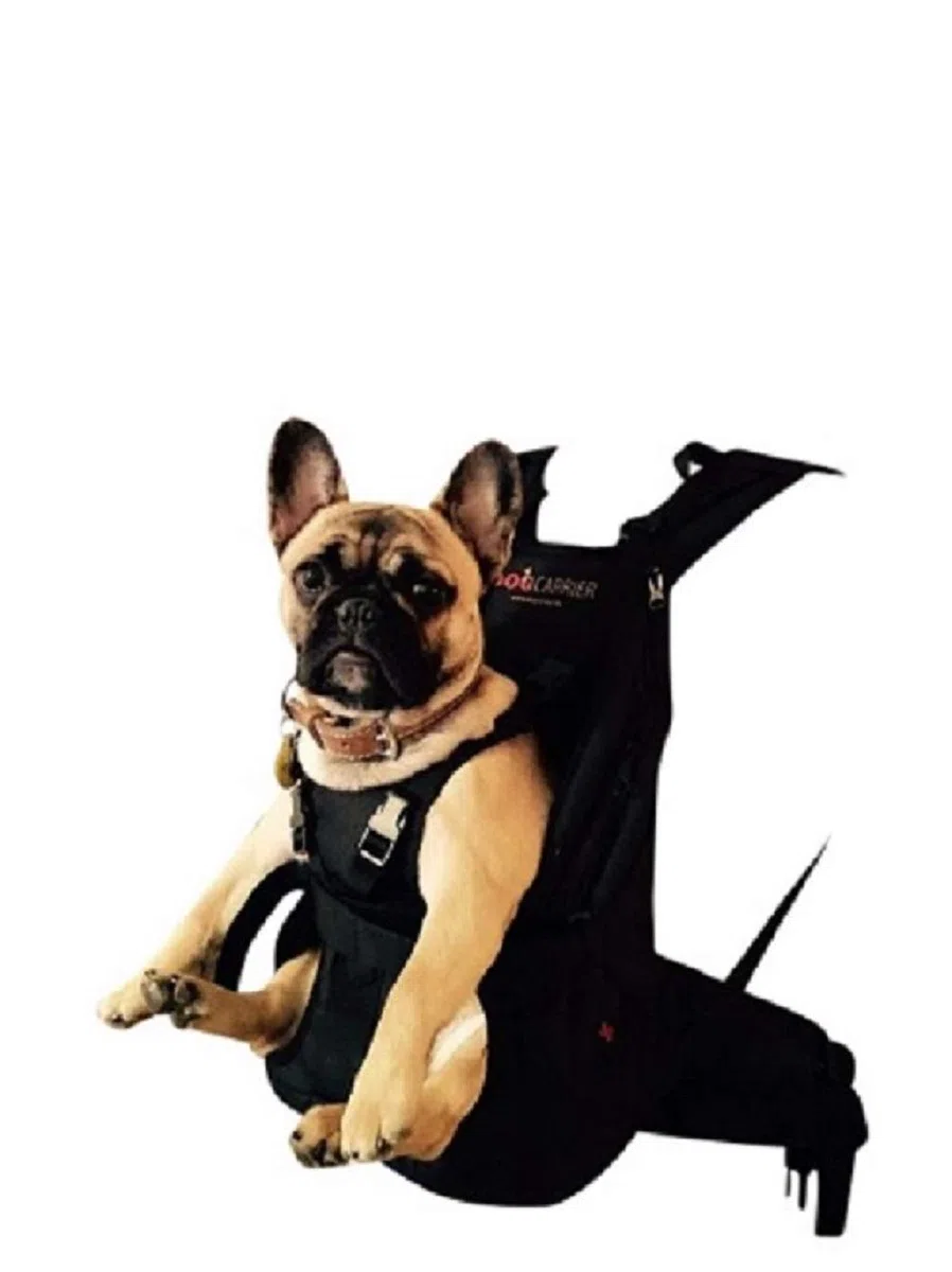 Dog Carrier Mochila para perros de alta calidad como bolsa de transporte para perros de 8 a 16 kg