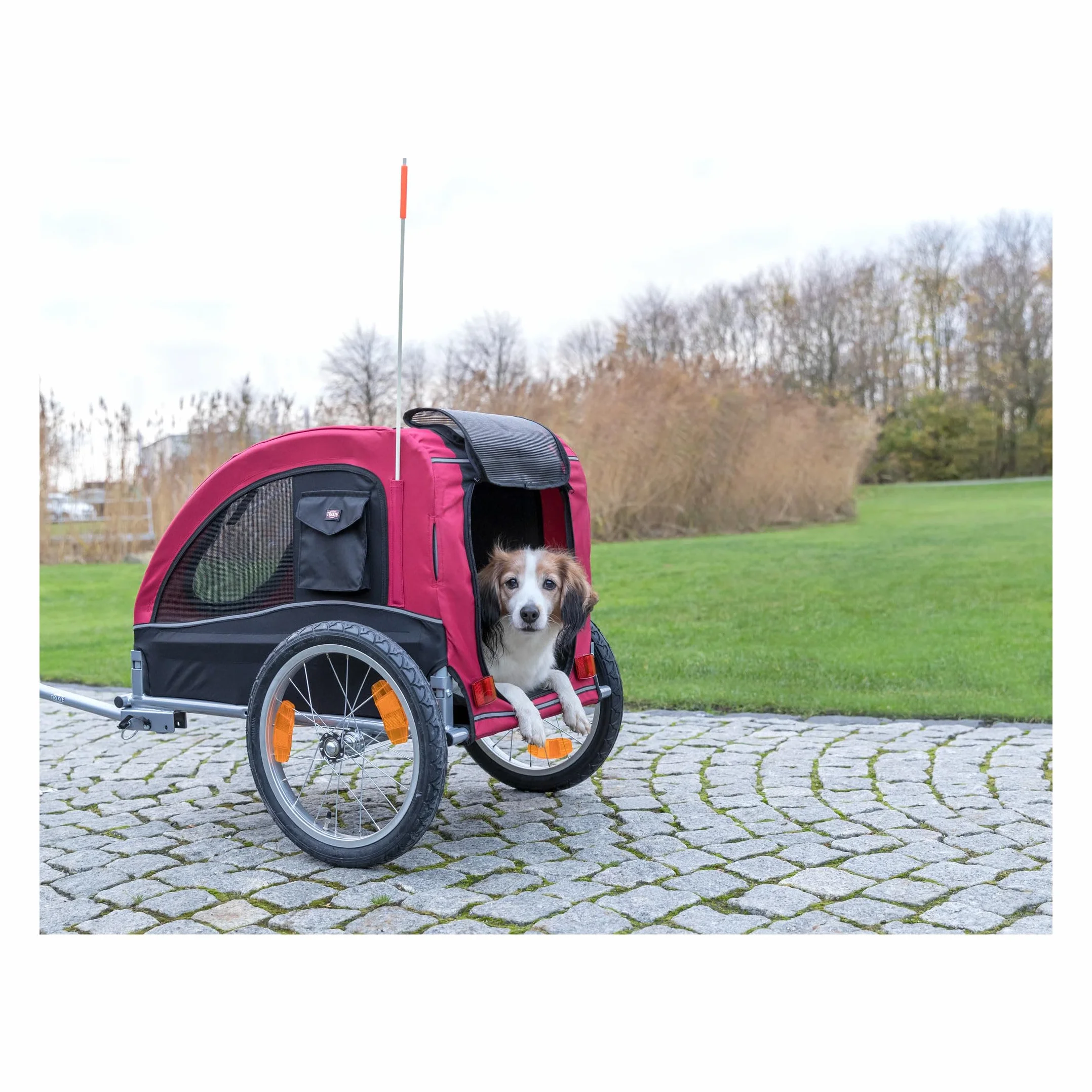 Tráiler Bicicleta, M, 43×45×73 cm, Rojo/Negro