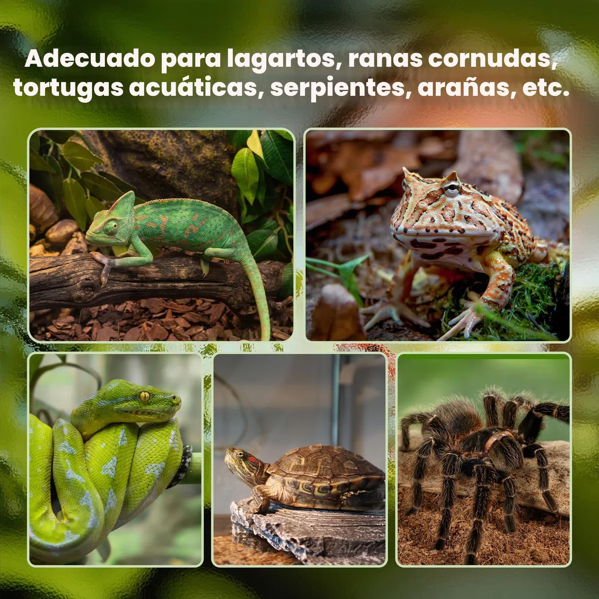 PawHut - Caja de reptiles (50 x 30 x 25 cm), color negro