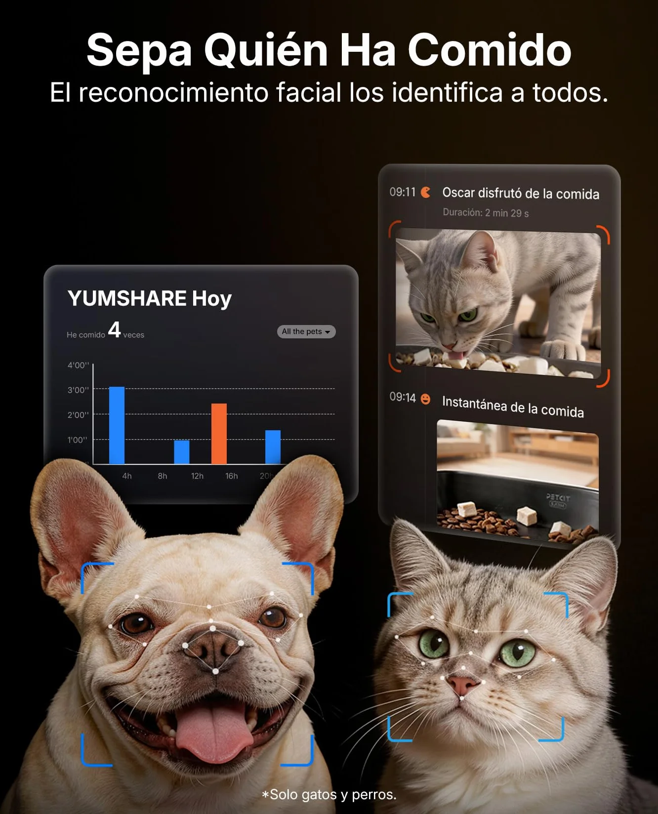 PETKIT Nuevo Comedero Gato Automatico con Cámara, Reconocimiento de Varios Gatos, 2.4G & 5GHz WiFi, Doble Tolva 5L Dispensador Comida Gatos/Perros, 1080P HD, Función AI, Cuenco de Acero Inoxidable