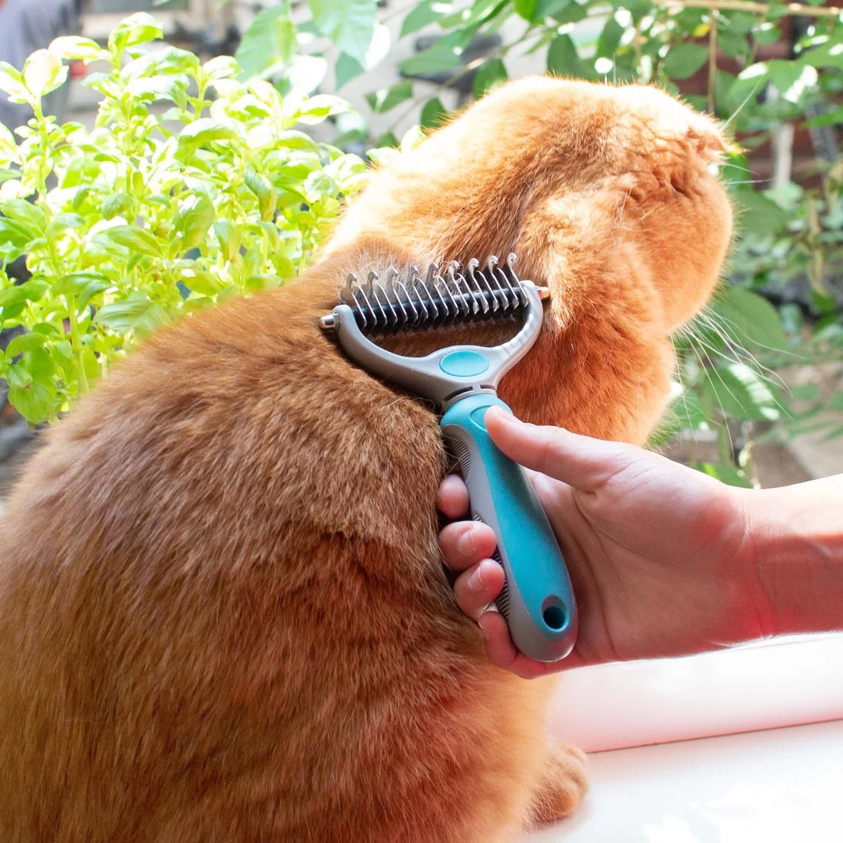 Navaris Cepillo para Capa Inferior de Pelo en Perros y Gatos - Peine Capa Interior de Pelaje Largo y Corto - Cepillo Corta-Nudos para Piel Sensible