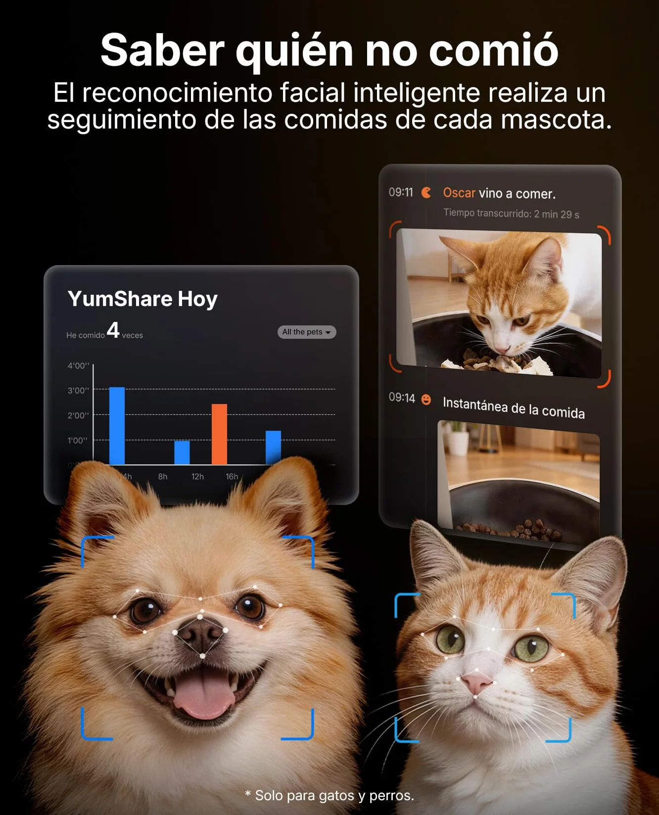 PETKIT Nuevo Comedero Gato Automatico con Cámara, Reconocimiento de Varios Gatos, 2.4G & 5GHz WiFi, 3L Dispensador Comida Gatos/Perros, 1080P HD, Función AI, App Control, Cuenco de Acero Inoxidable